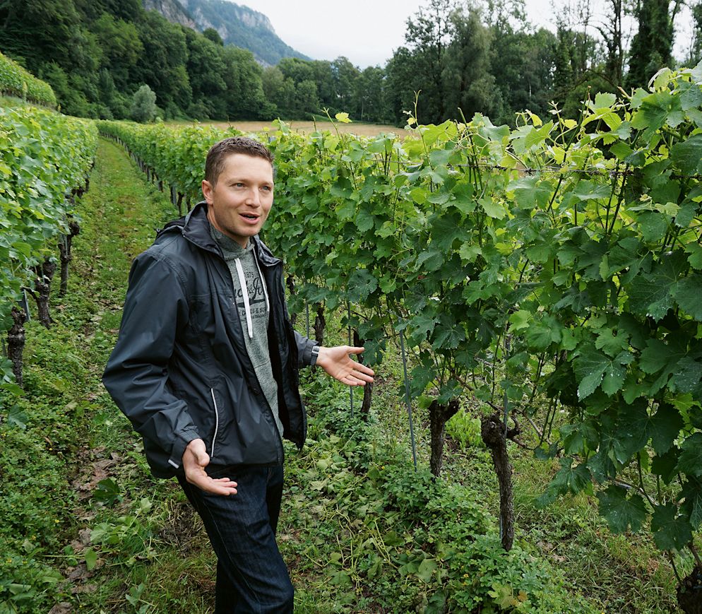 Roman Herrmann gehört zu den wenigen Winzern, die noch die alte Sorte Completer anbauen.