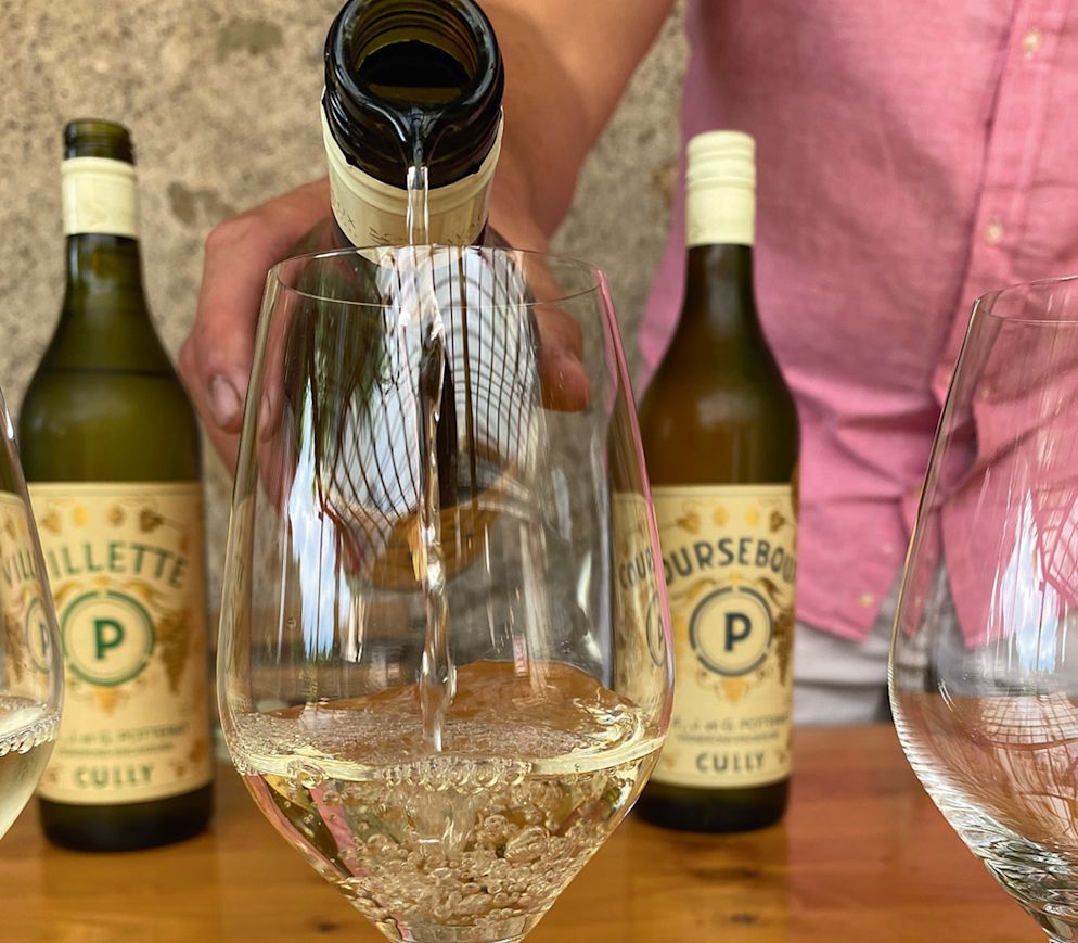 Natürlich Chasselas: Weindegustation in der «Domaine Potterat».