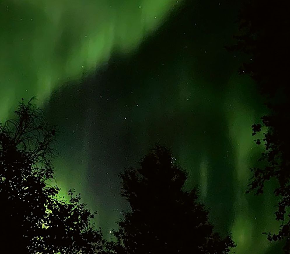 Die Nordlichter: jedes Mal aufs Neue faszinierend.