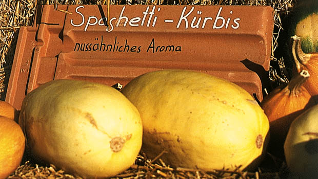Gefullter Kurbis Annemarie Wildeisens Kochen