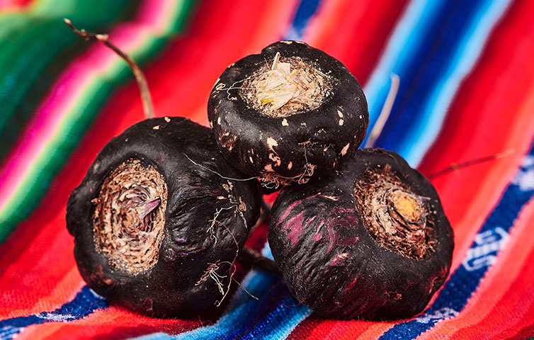 maca blog 3