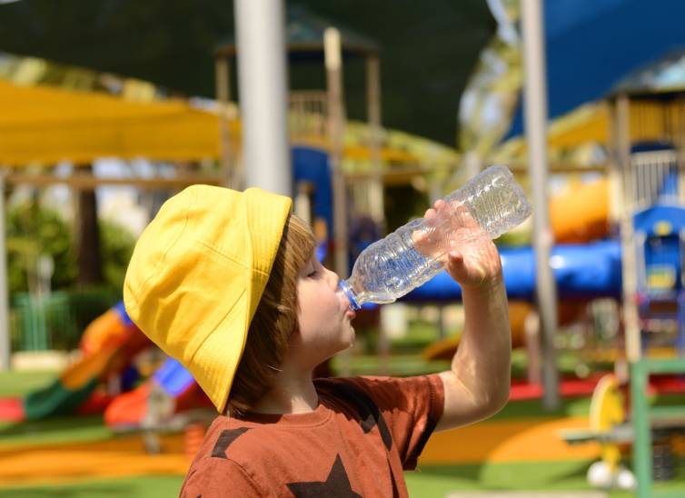 alimentacion infantil