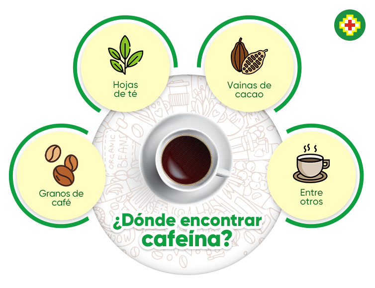cafeina donde encontrar
