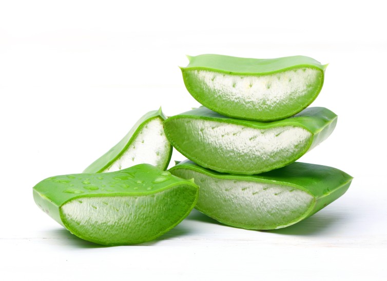 aloe vera usos