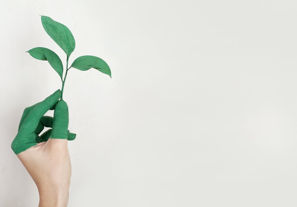 Arthur Schopenhauer Zitat