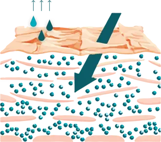 Skin Barrier Grid Image 1