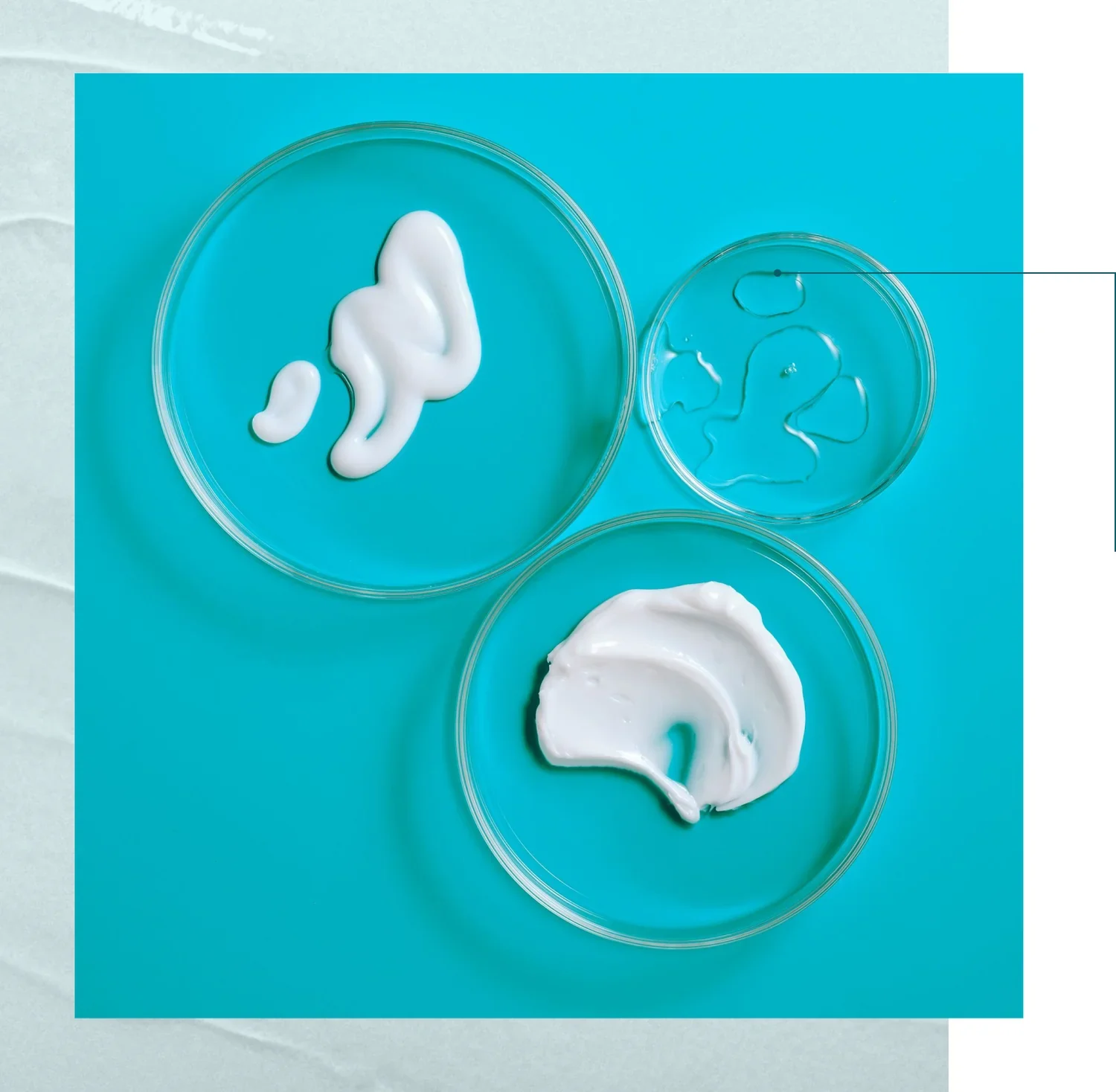 Petri Dish Image