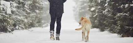 Winter Skin Article Banner