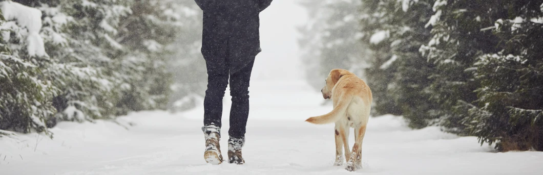 Winter Skin Article Banner