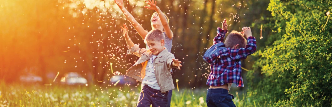 Allergens Article image