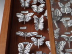 Butterfly-Cabinet-Porcelain-blackstain-antique-box-L-38-x-W-8x-H575cm-3-photo-TerraDelft