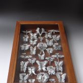 Butterfly-Cabinet-Porcelain-blackstain-antique-box-L-38-x-W-8x-H575cm-1-photo-TerraDelft