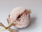 Pomegranate-with-3-Leaves-2011-85x19x95cm-stoneware-glass-goldluster-6