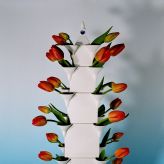 Frans-Ottink-tulpentoren