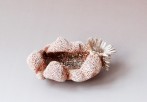 Salt-cellar-with-2-Daisies-2011-5x10x75cm-stoneware-goldluster-glaze-r