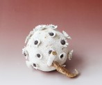 Pomegranate-with-Daisies-2009-12x16x14cm-stoneware-goldluster-4