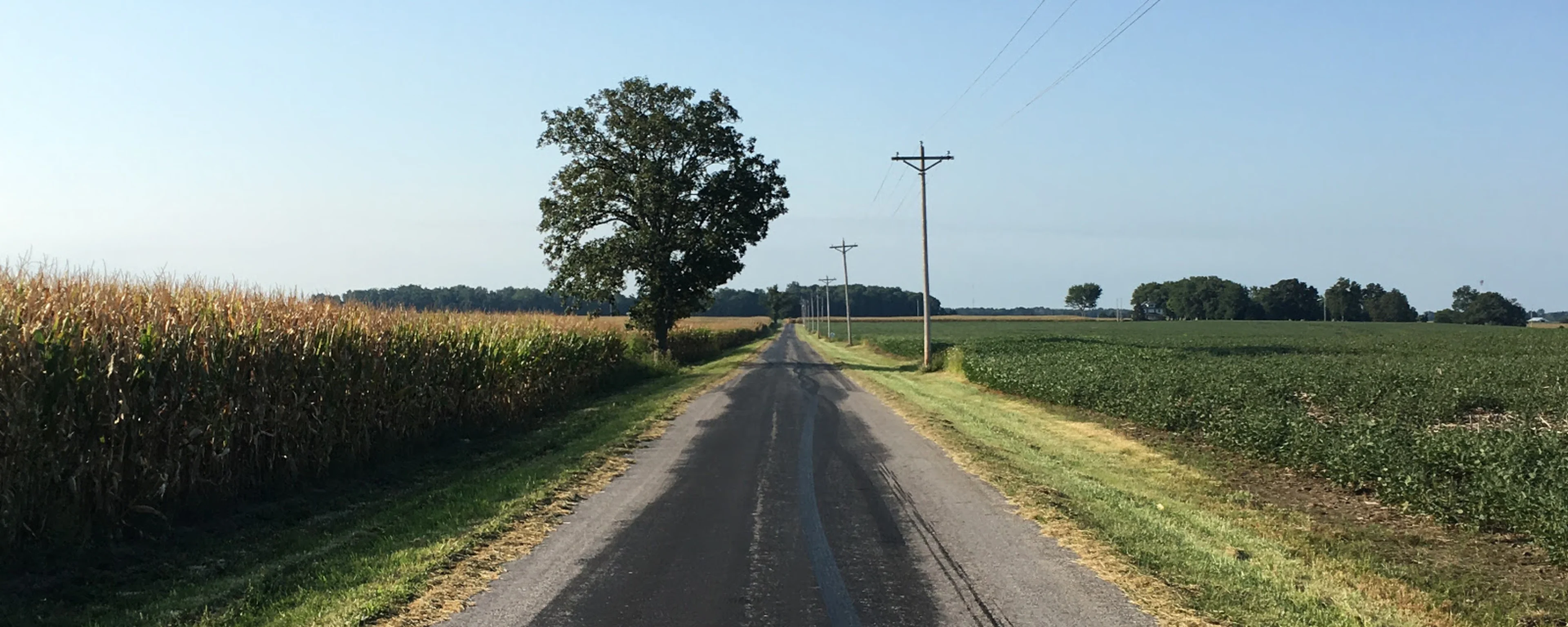 Biking along Fribley Road, a few miles away from where my parents live and I grew up