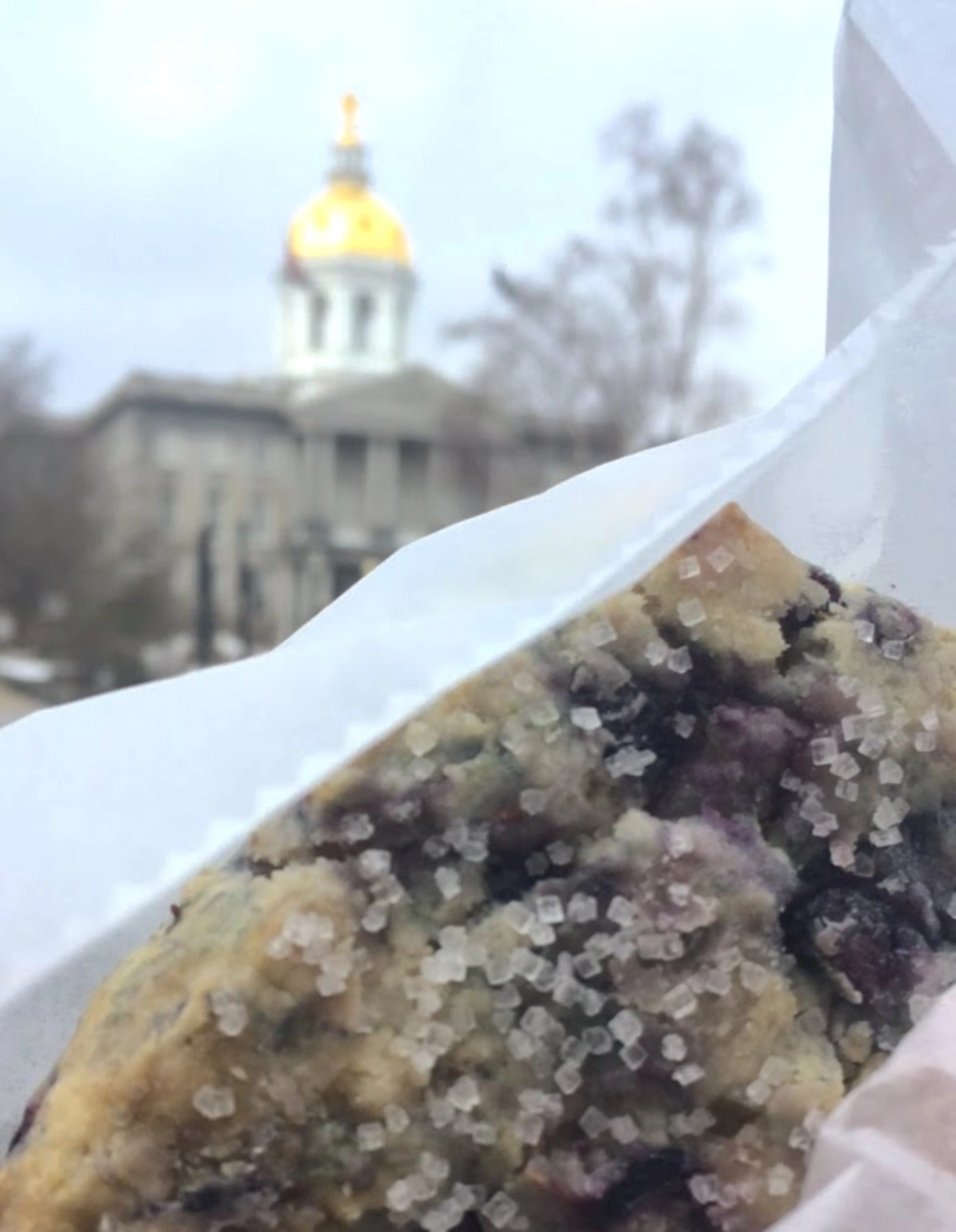 A blueberry scone eaten outside the New Hampshire capitol
