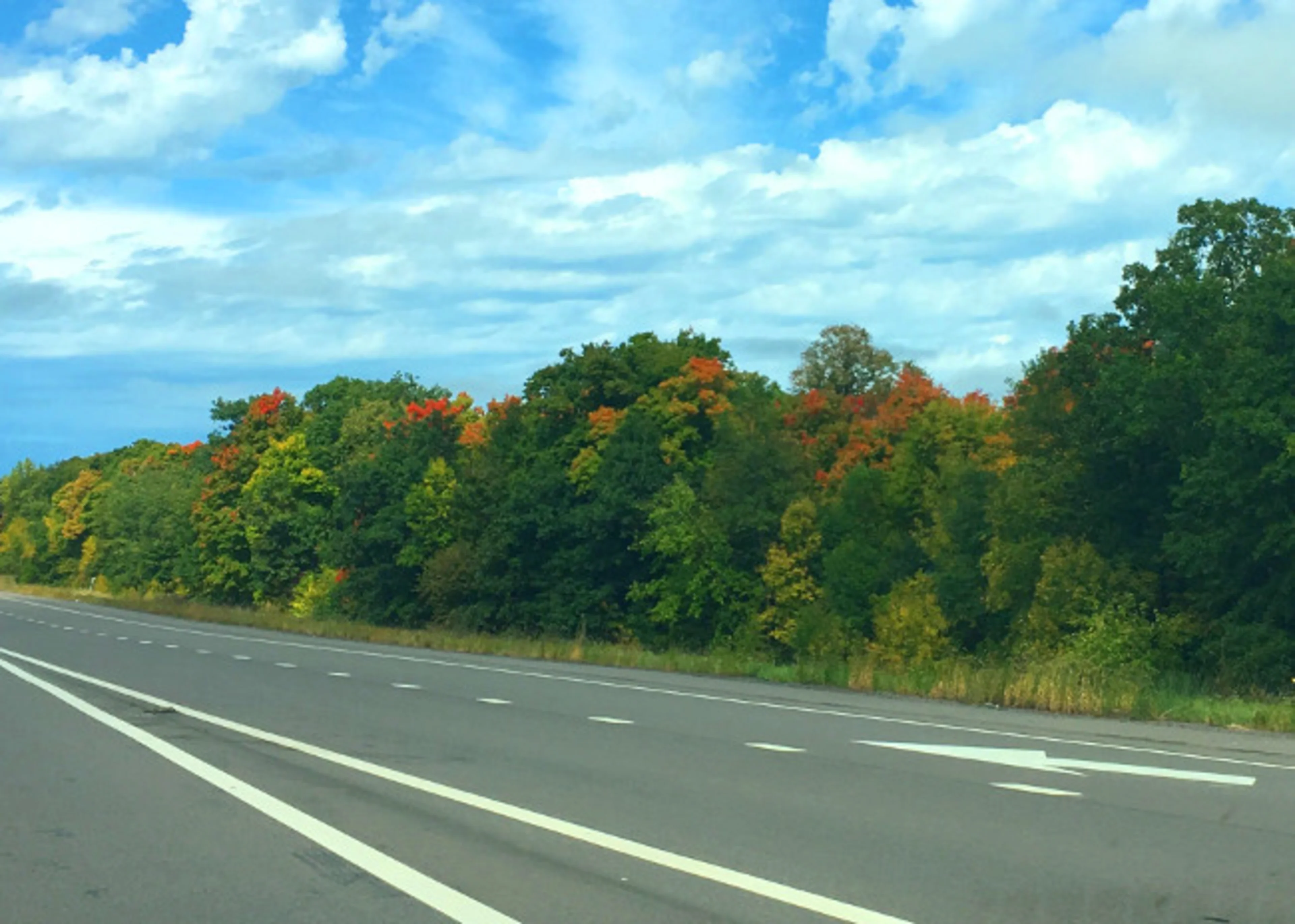 The fall foliage as viewed from the interstate on the road