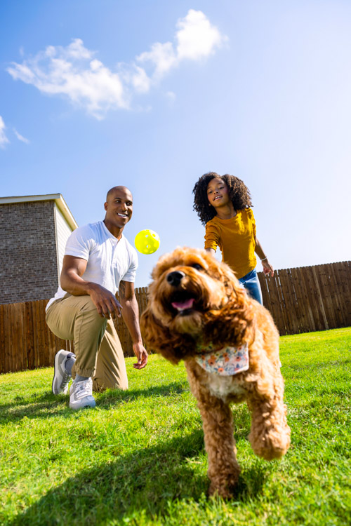 a father and daughter throw a ball for their dog