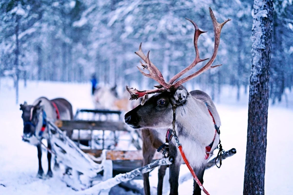 Inari-Finland