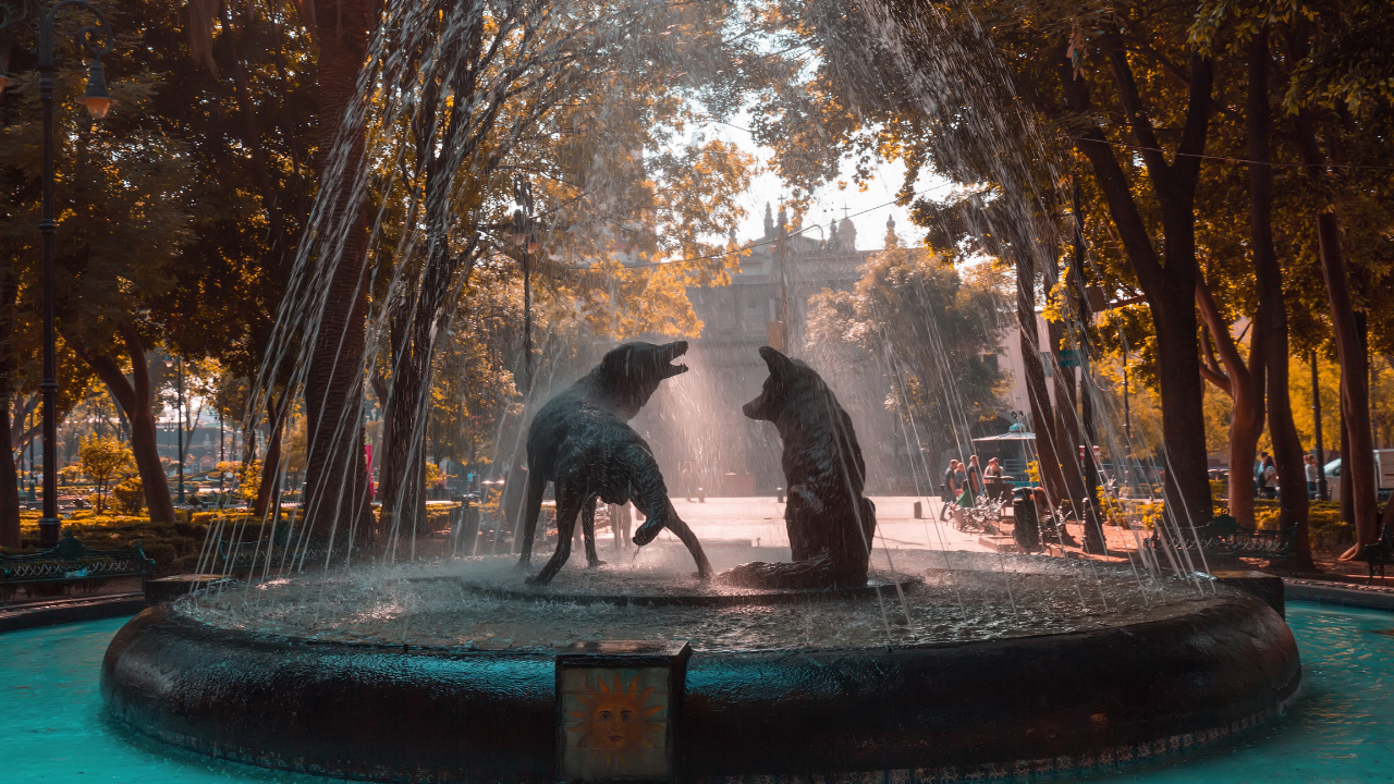 https:Explore Mexico City like a local with Memo Ochoa! Discover hidden gems and trendy hotspots favored by the famous goalkeeper, from authentic street tacos to vibrant nightlife.