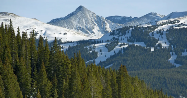 Winter Wonderland Near Denver