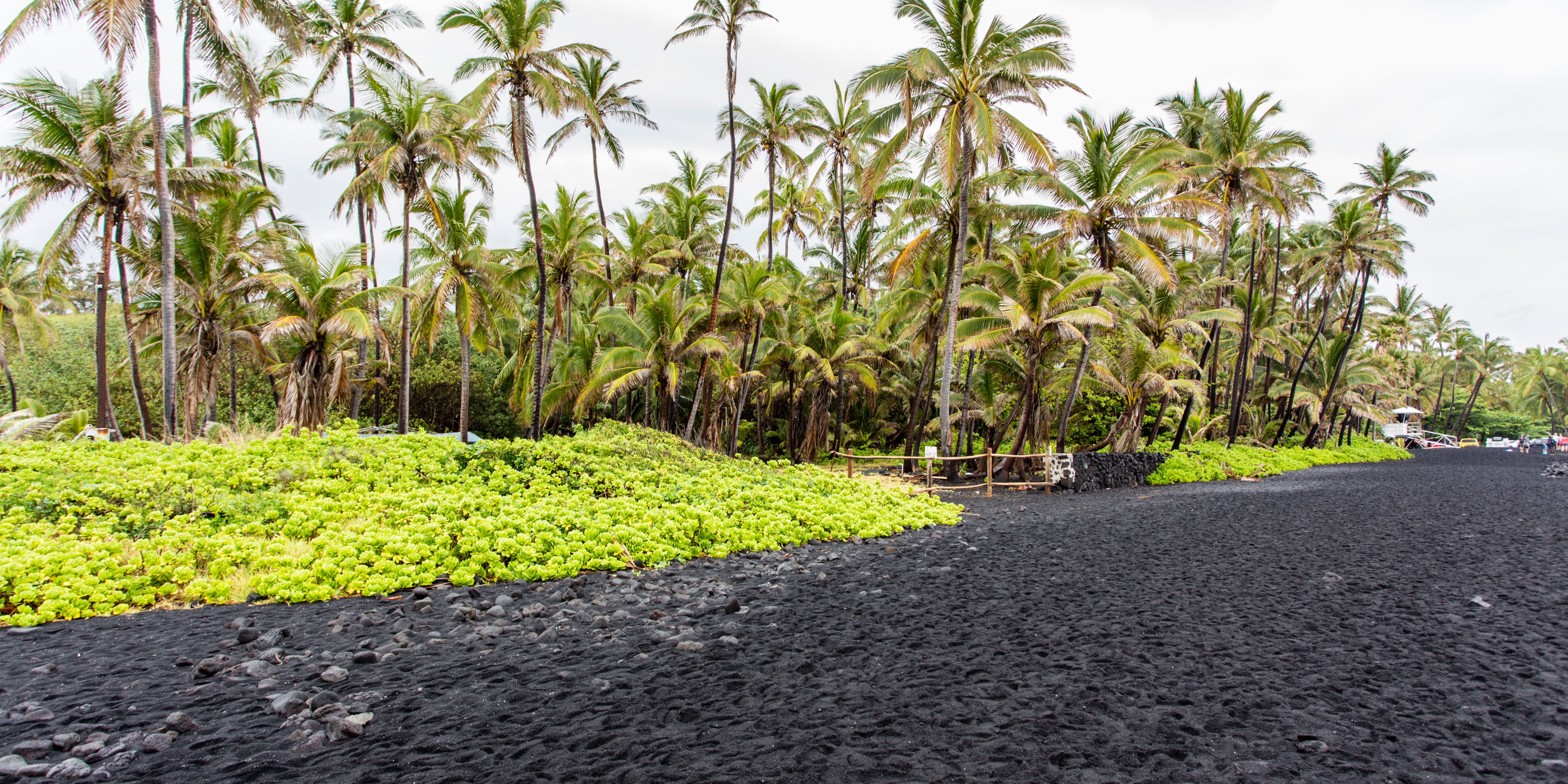 Punalu’u Black Sand Beach