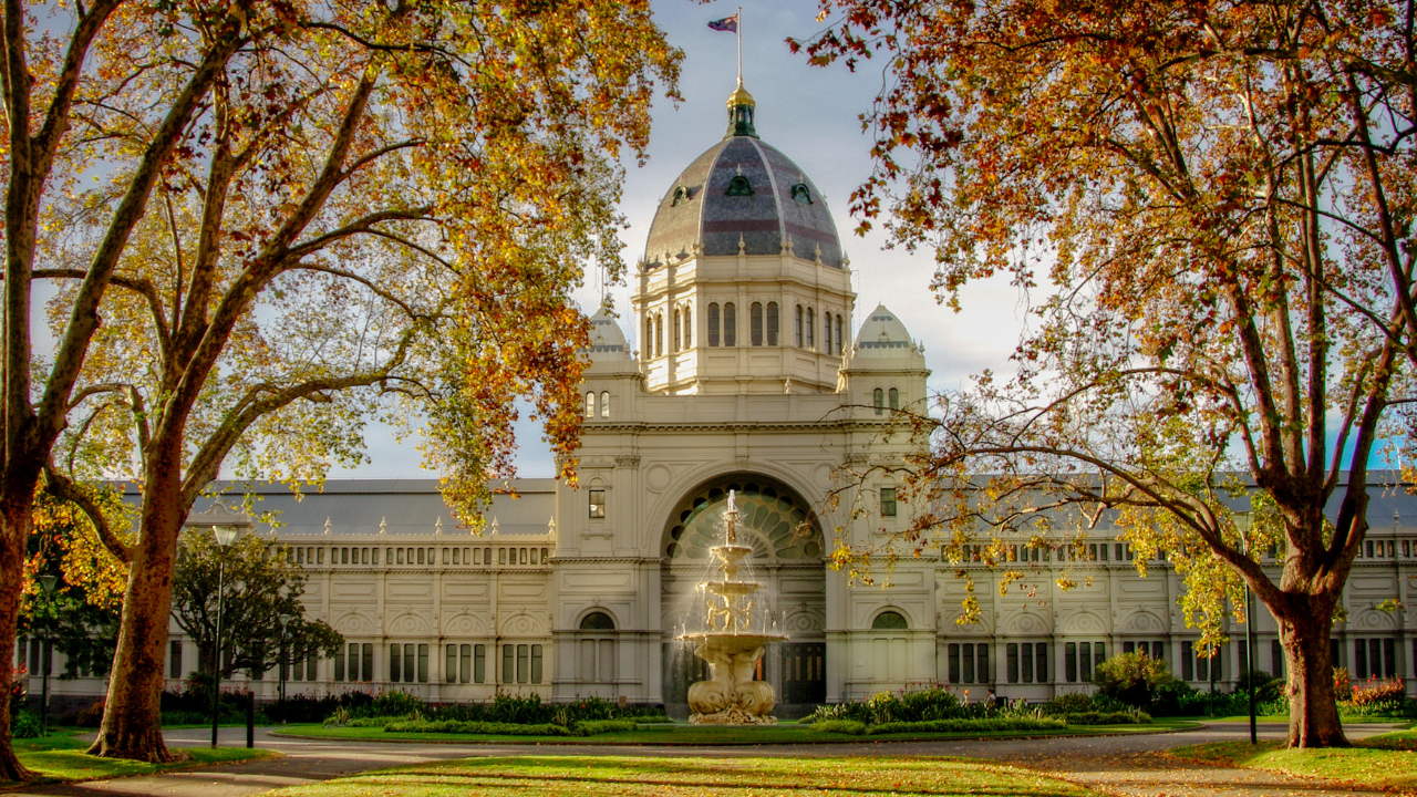 https:People engaged in a vibrant exhibit at a historical society, featuring interactive displays and artifacts that highlight significant events and contributions in Black history. The colorful panels and photographs create an immersive learning experience.