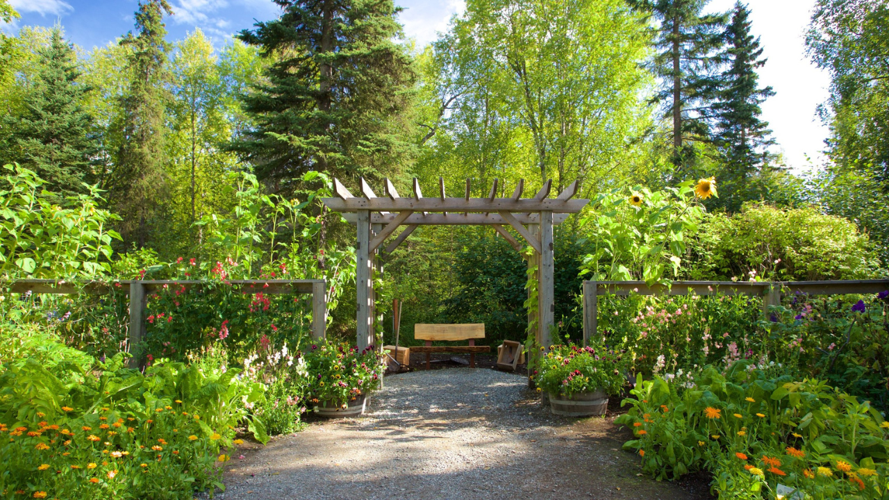 Alaska Botanical Garden