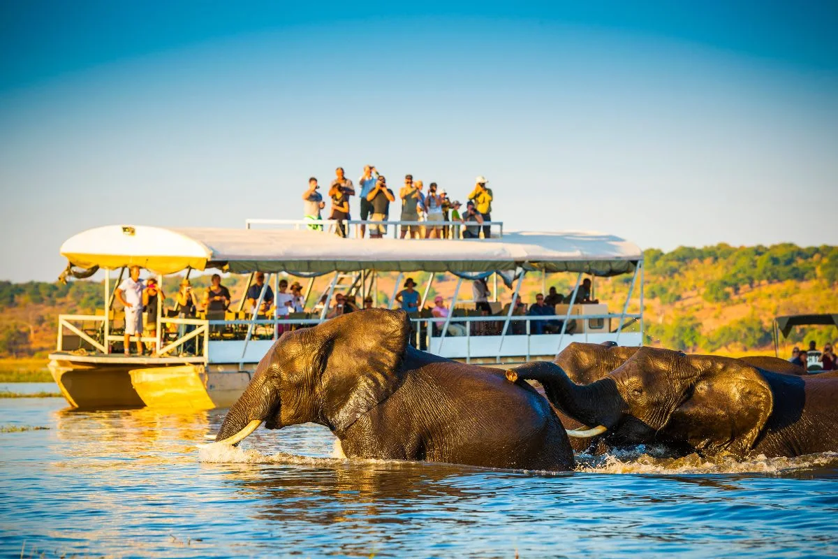 Thrilling-safari-world