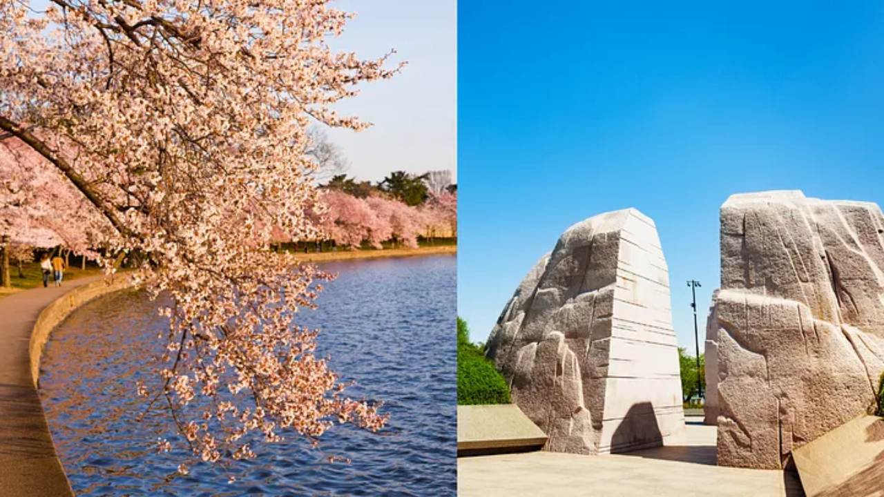 Tidal Basin & Martin Luther King, Jr. Memorial