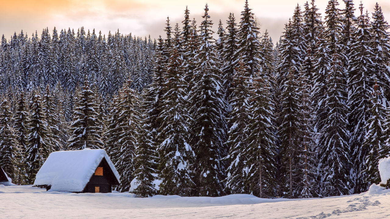 https: Make your white Christmas dreams a reality! Explore destinations with the highest chance of snowfall this winter, according to a meteorologist's insights. Plan your snowy escape and experience a magical holiday season