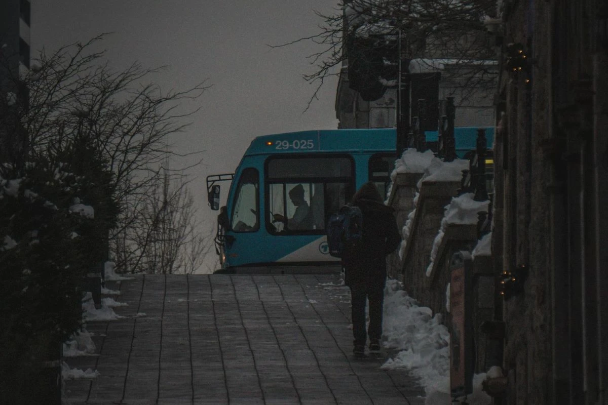 https:A serene snowy street lined with tall trees and lampposts, the ground covered in a fresh layer of snow, creating a peaceful winter wonderland atmosphere.