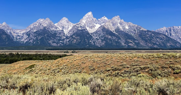 Grand Teton National Park