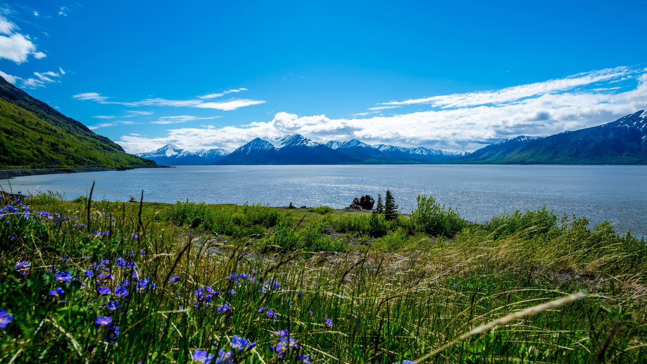 Turnagain Arm