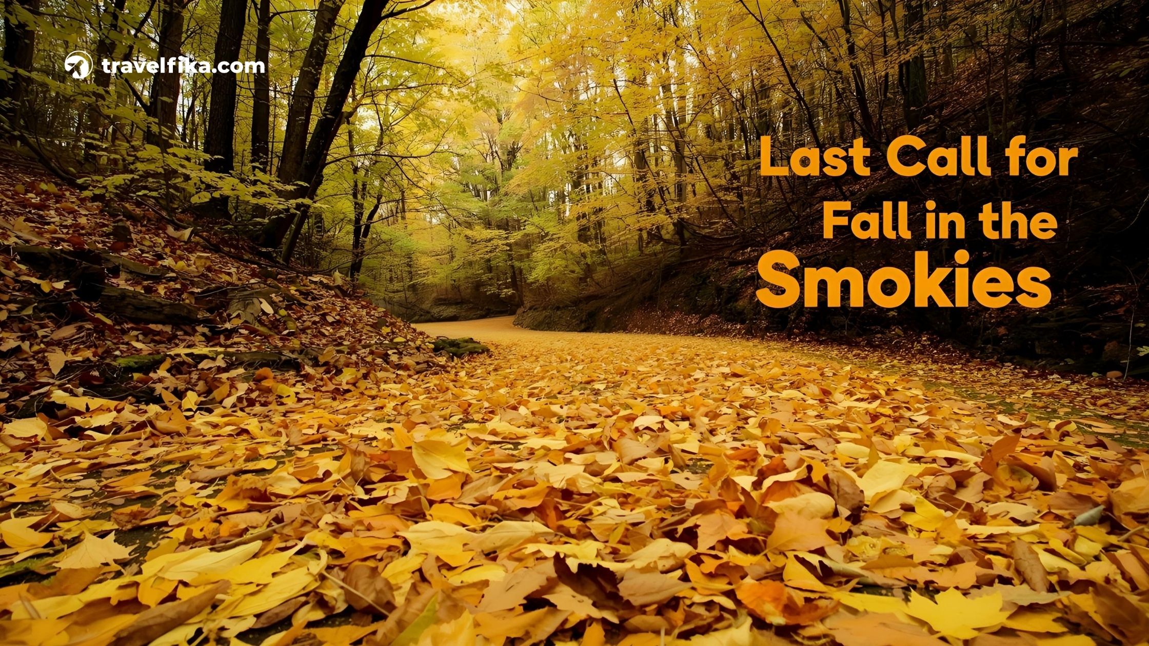 November in the USA: Celebrations, Traditions & Travel Tips for a Cozy Autumn