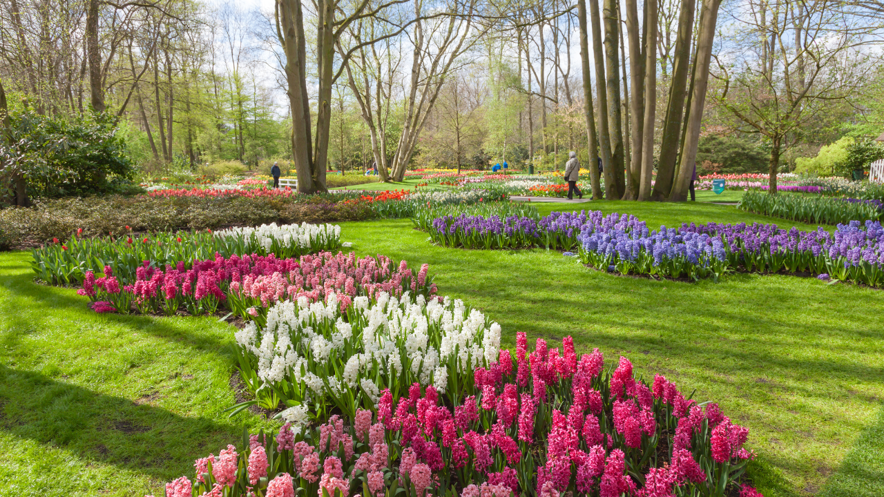 https:Spring into vibrant beauty around the world! Explore our guide to stunning gardens bursting with springtime blooms. Discover hidden gems and iconic locations