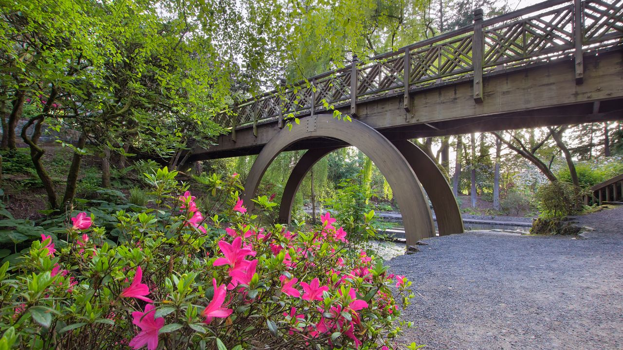 Wooden Bridge at Crystal Springs Rhododendron Garden