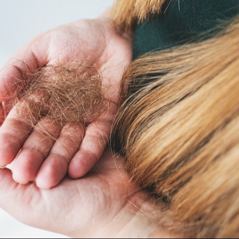 Understanding Hair Shedding During Weight Loss