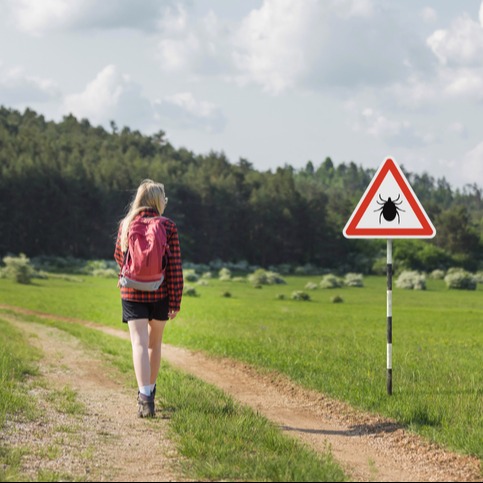 Tick Exposure and Lyme Disease Risk