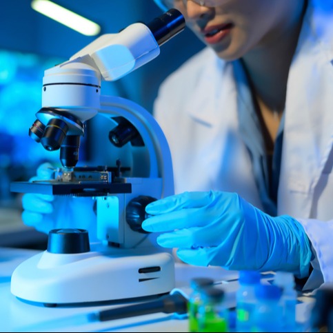 Urinalysis Microscopy
