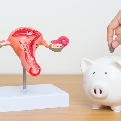 Uterus and Ovaries Model with Piggy Bank Symbolizing Economic Funds for Uninsured Clomid Drugs