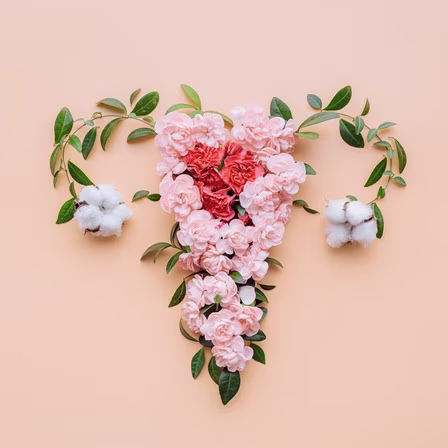 Female Reproductive Anatomy and Sexual Well-Being
