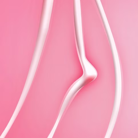 Female Reproductive Anatomy and Clitoral Structure