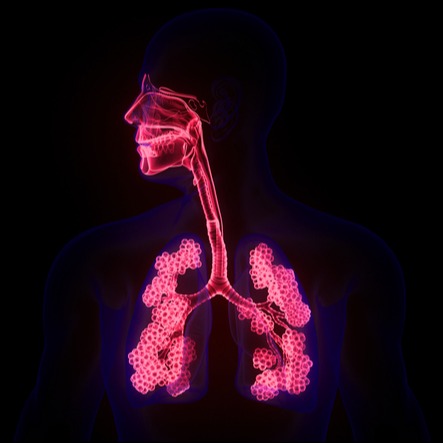 How Spiriva Supports Lung Function