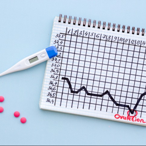 Basal Ovulation Temperature Chart with Thermometer: Predicting Fertility