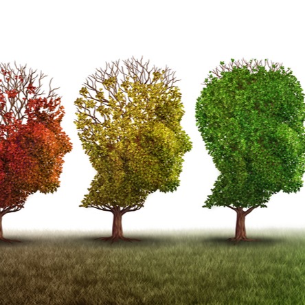 Brain Health and Memory Supplement Safety