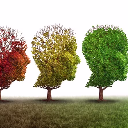 Brain Health and Memory Supplement Safety