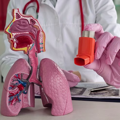 Understanding Asthma Treatment with Symbicort